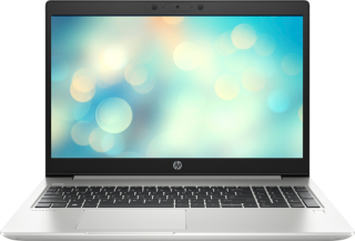 HP Probook 455 G7 (2M2S3ES) Notebook kullananlar yorumlar